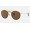 Ray Ban Round Double Bridge RB3647 Sunglasses Polarized Classic B-15 + Gold Frame Brown Classic B-15 Lens