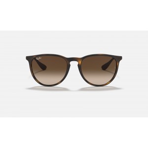 Ray Ban Erika Classic RB4171 Sunglasses Gradient + Tortoise Frame Brown Gradient Lens