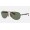 Ray Ban RB8313 Scuderia Ferrari Collection Sunglasses Green Classic Gunmetal