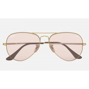 Ray Ban RB3689 Solid Sunglasses Pink Photochromic Evolve Gold