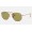 Ray Ban Hexagonal Washed Evolve RB3025 Sunglasses Green Photochromic Evolve Copper