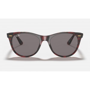 Ray Ban Wayfarer Ii Collection RB2185 Sunglasses Grey Classic Transparent Red
