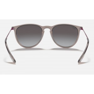 Ray Ban Erika Color Mix RB4171 Sunglasses Gradient + Shiny Transparent Grey Frame Grey Gradient Lens
